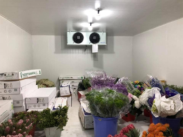 Lắp kho lạnh bảo quản hoa tươi