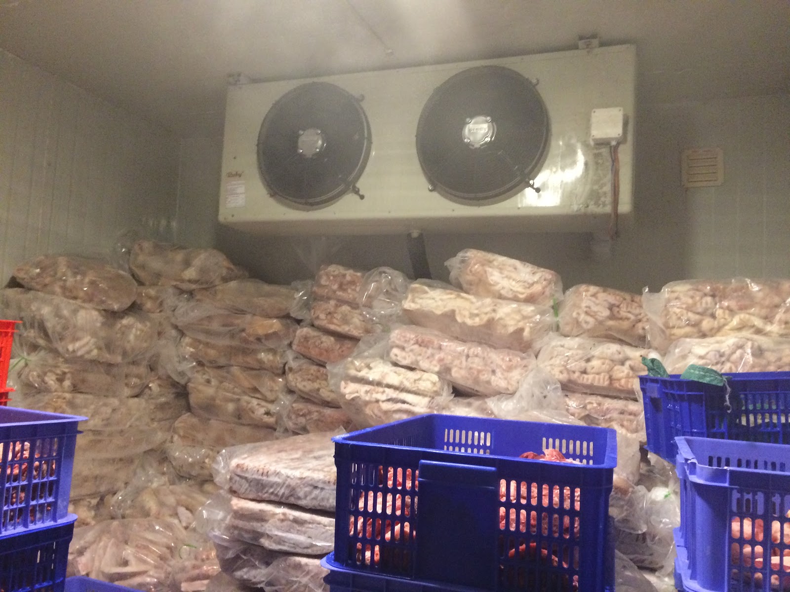 Lắp kho lạnh bảo quản thực phẩm